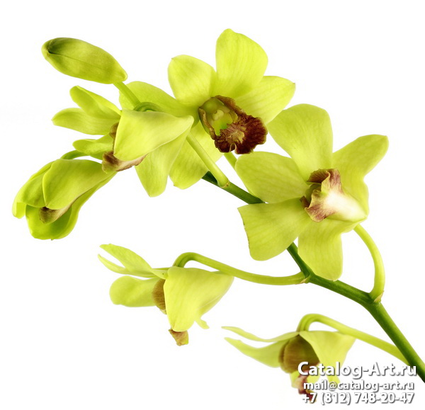 Натяжные потолки с фотопечатью - Желтые и бежевые орхидеи 19